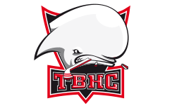 Logo Toulouse Blagnac Hockey Club Loisir